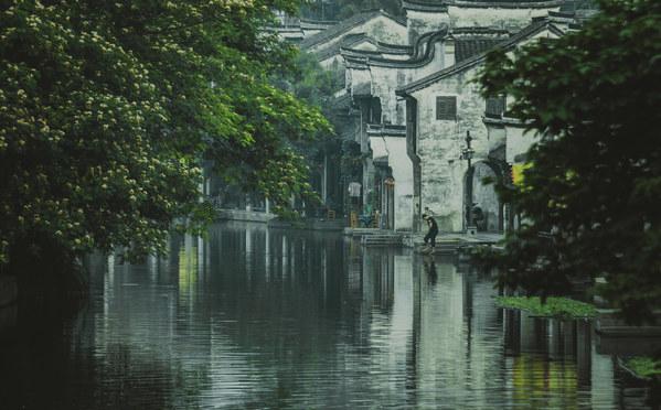 辅导员最怕举报什么游戏画面